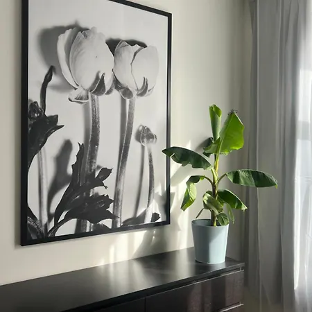 Sventer Apartment